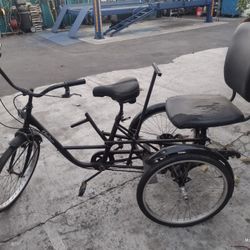 Taxi Adult Tricycle