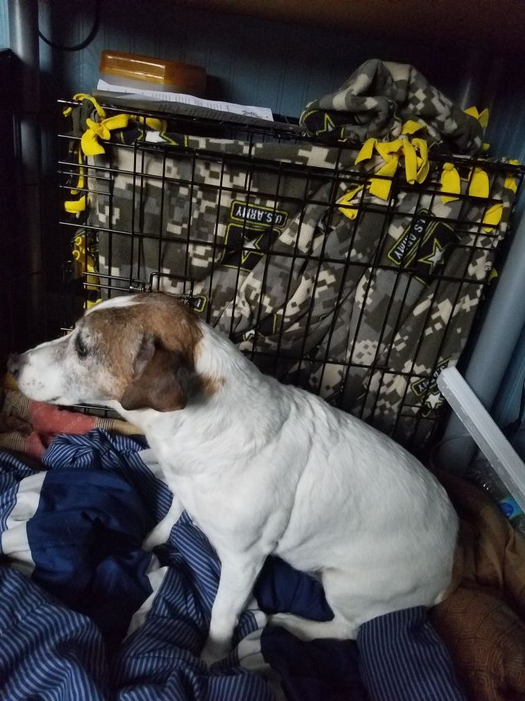 Small dog cage