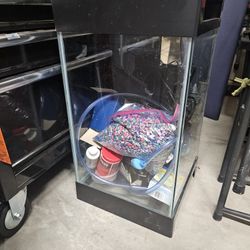 Fish Tank Setup