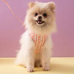 Dog Harness And Leash Sets 