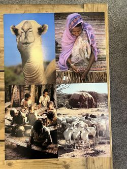 4 Prints From Africa