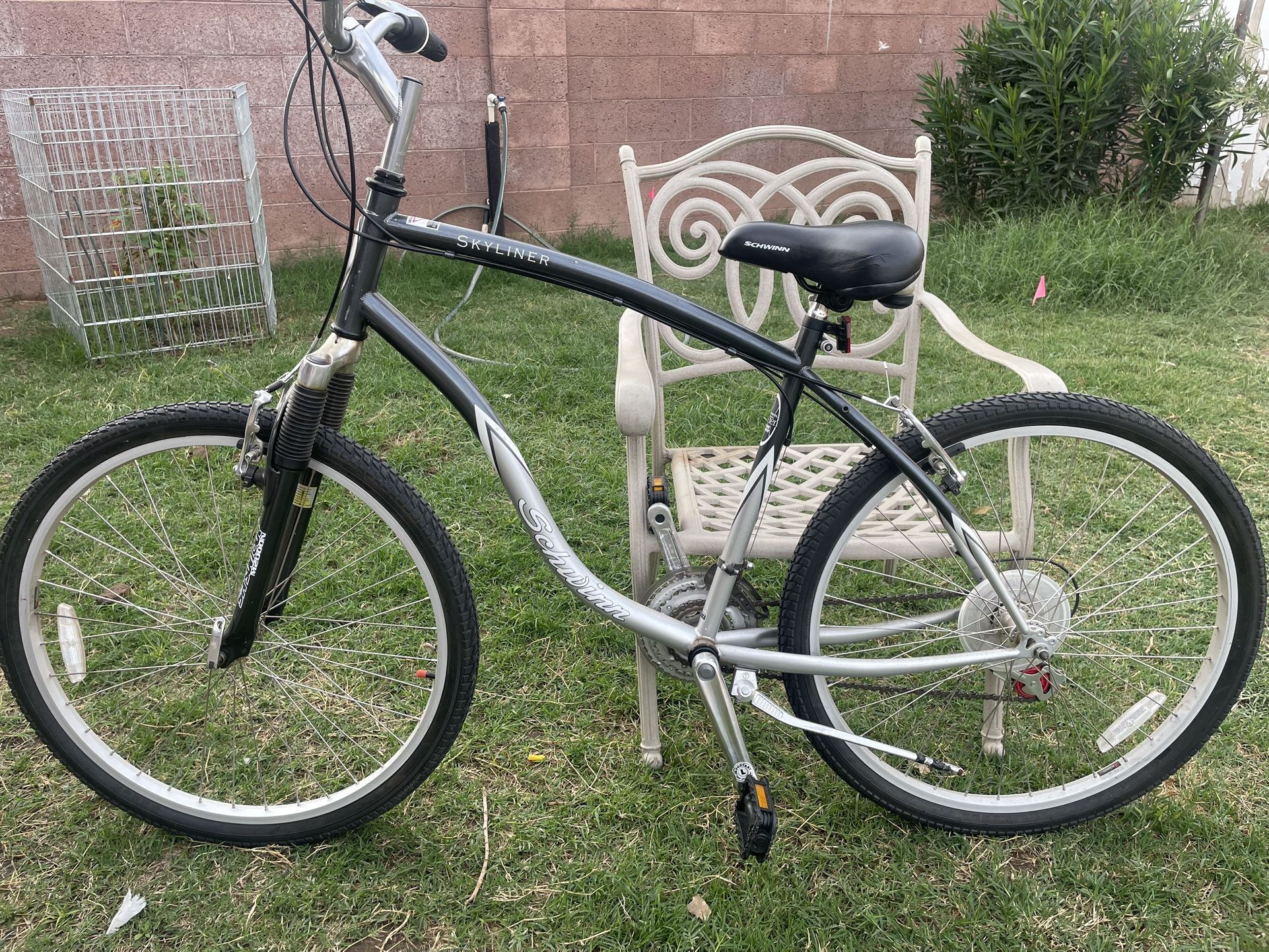 Schwinn Skyliner Bike