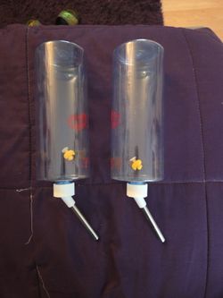Guinea pig water bottles