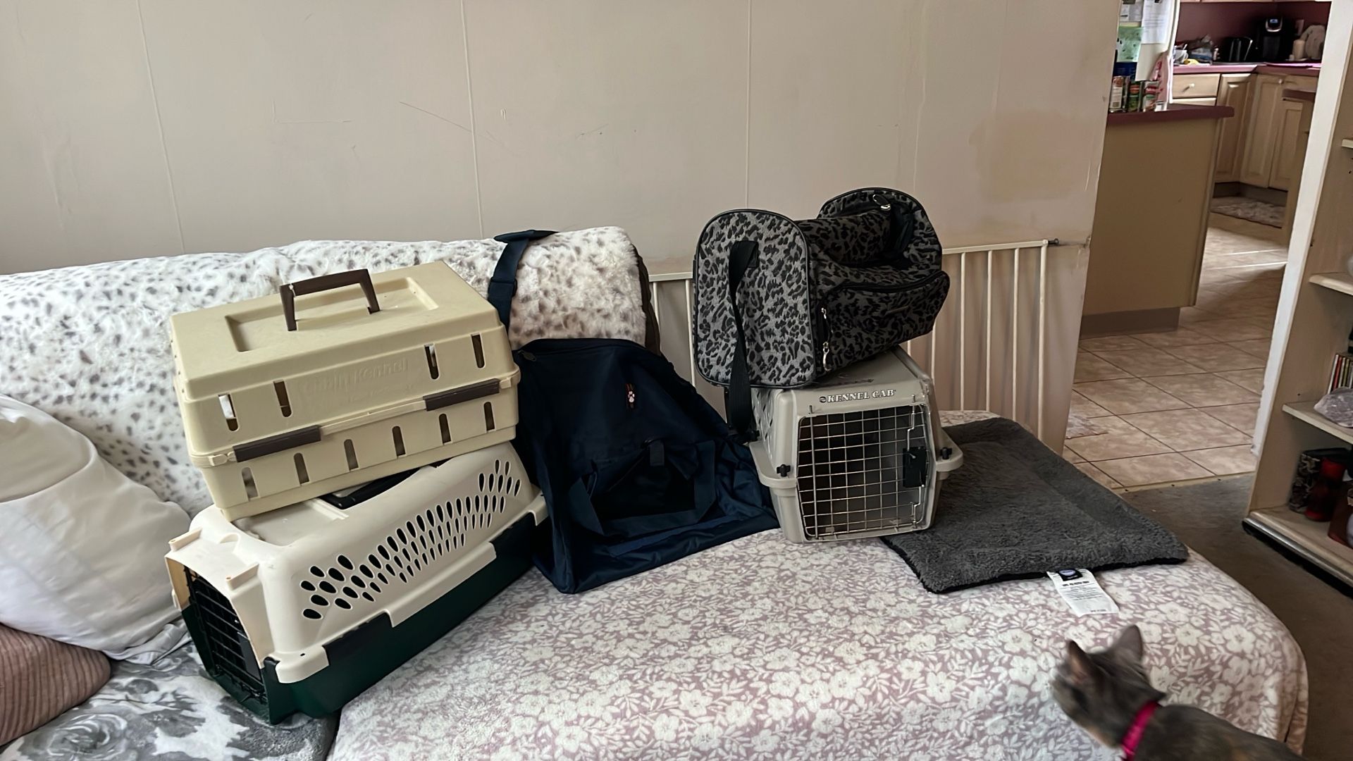 Cat carriers