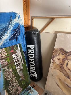 ProForce Heavy Punching Bag