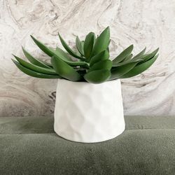 Artificial Succulent With White Pot