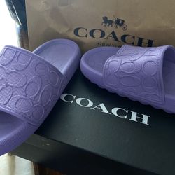 Coach Slides