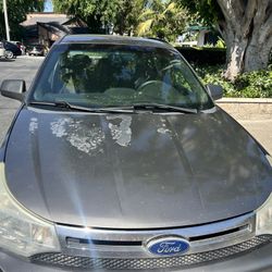 Ford Focus Hood 