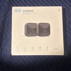 Two Outdoor Blink  Cameras With Alexa