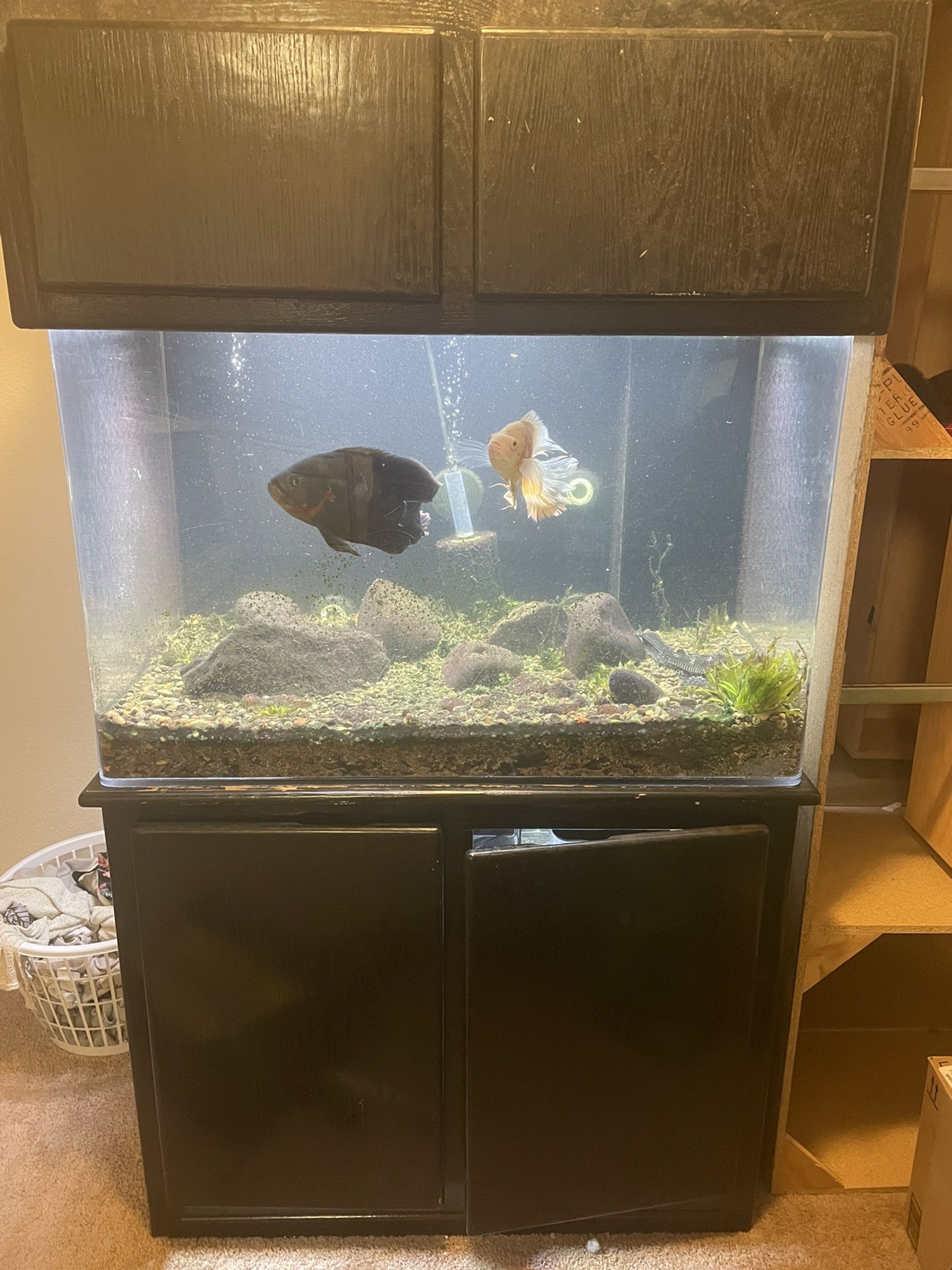 90 Gallon Acrylic Fish Tank With Stand And Hood 