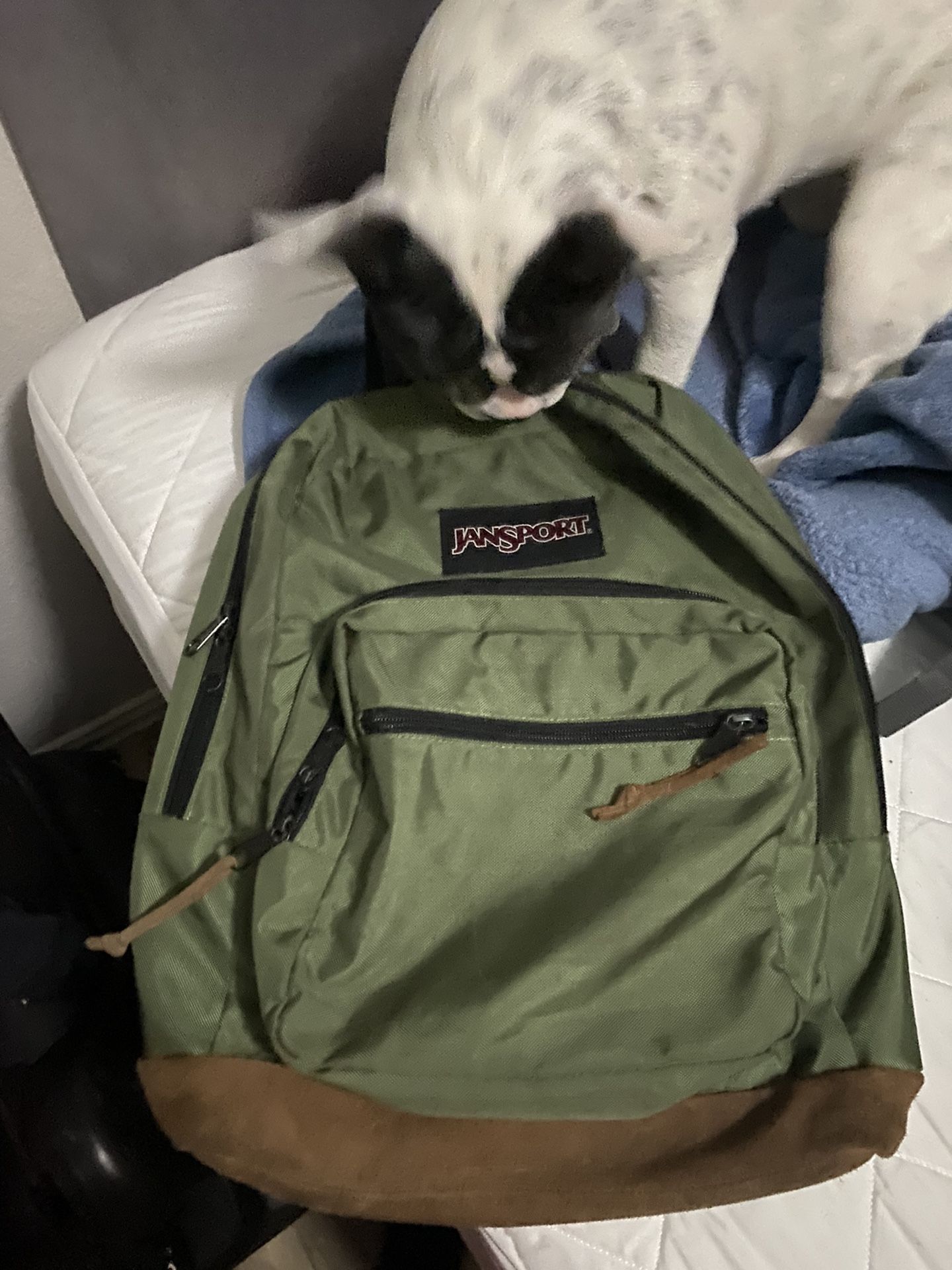 backpacks nike jansport