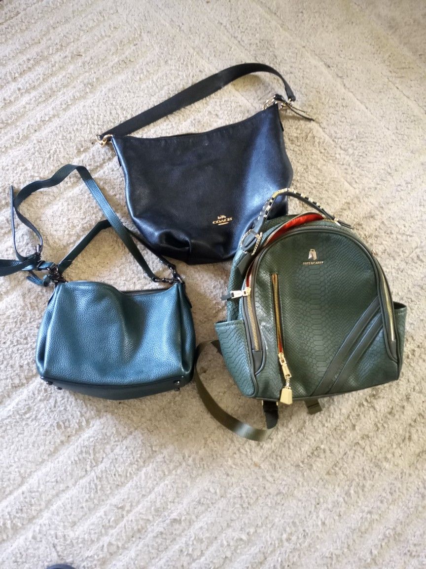 3 Women's Handbags And Purses (Coach And Tote & Carry)
