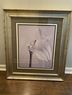 Flower Set (two Frames)