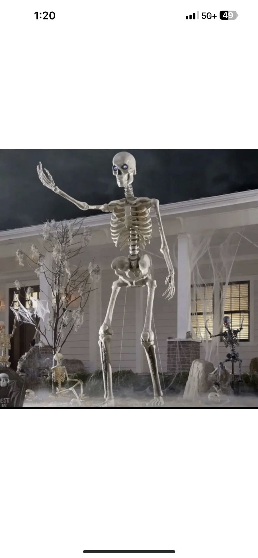 12 Foot Skeleton