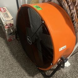 Fan