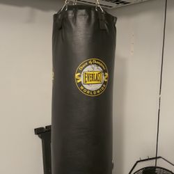 Punching bag Everlast
