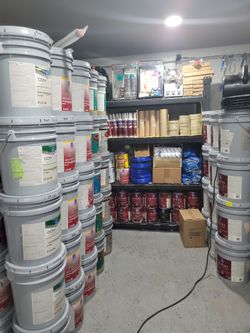 Paint for sale