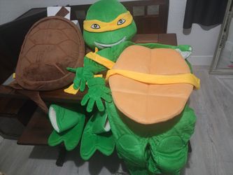 Ninja Turtles Costume.