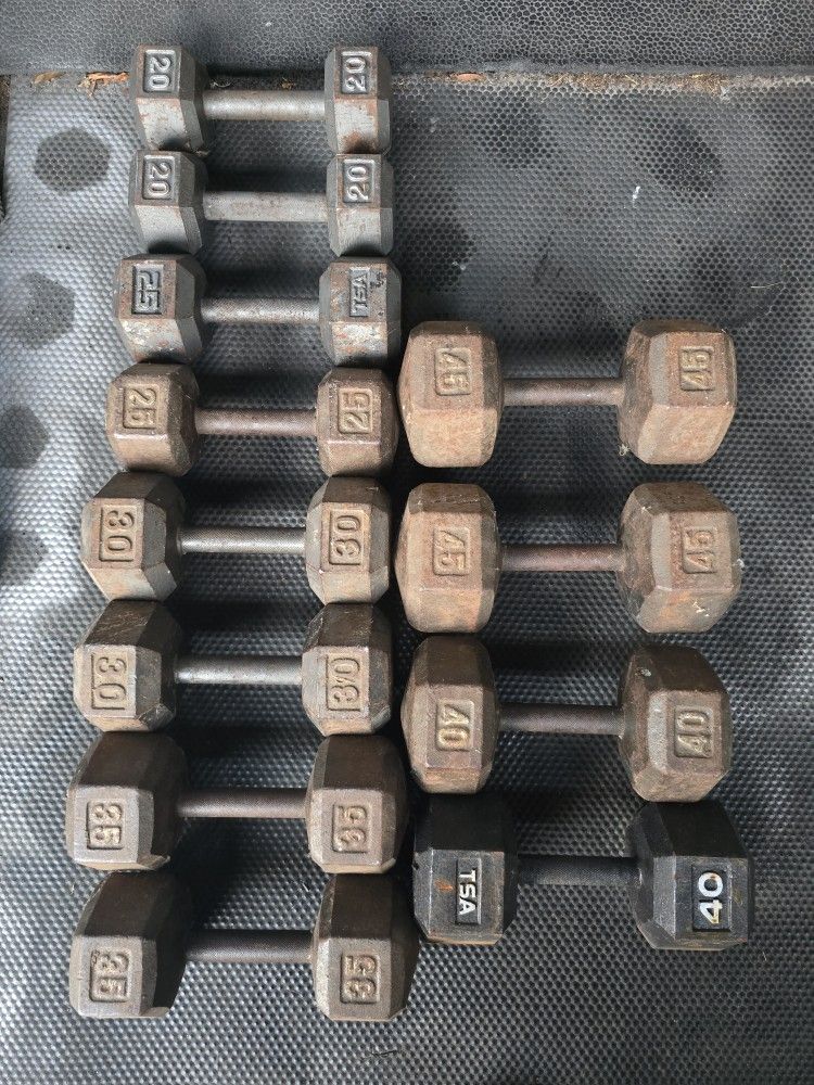 Weight Dumbbells