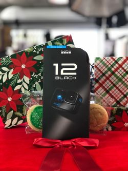 GoPro HERO 12 (Acccessories also available)