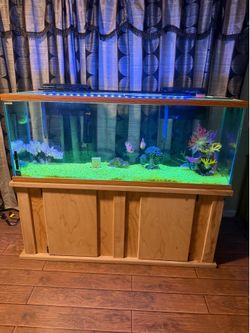 Fish tank
