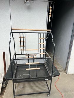 Parrot play stand
