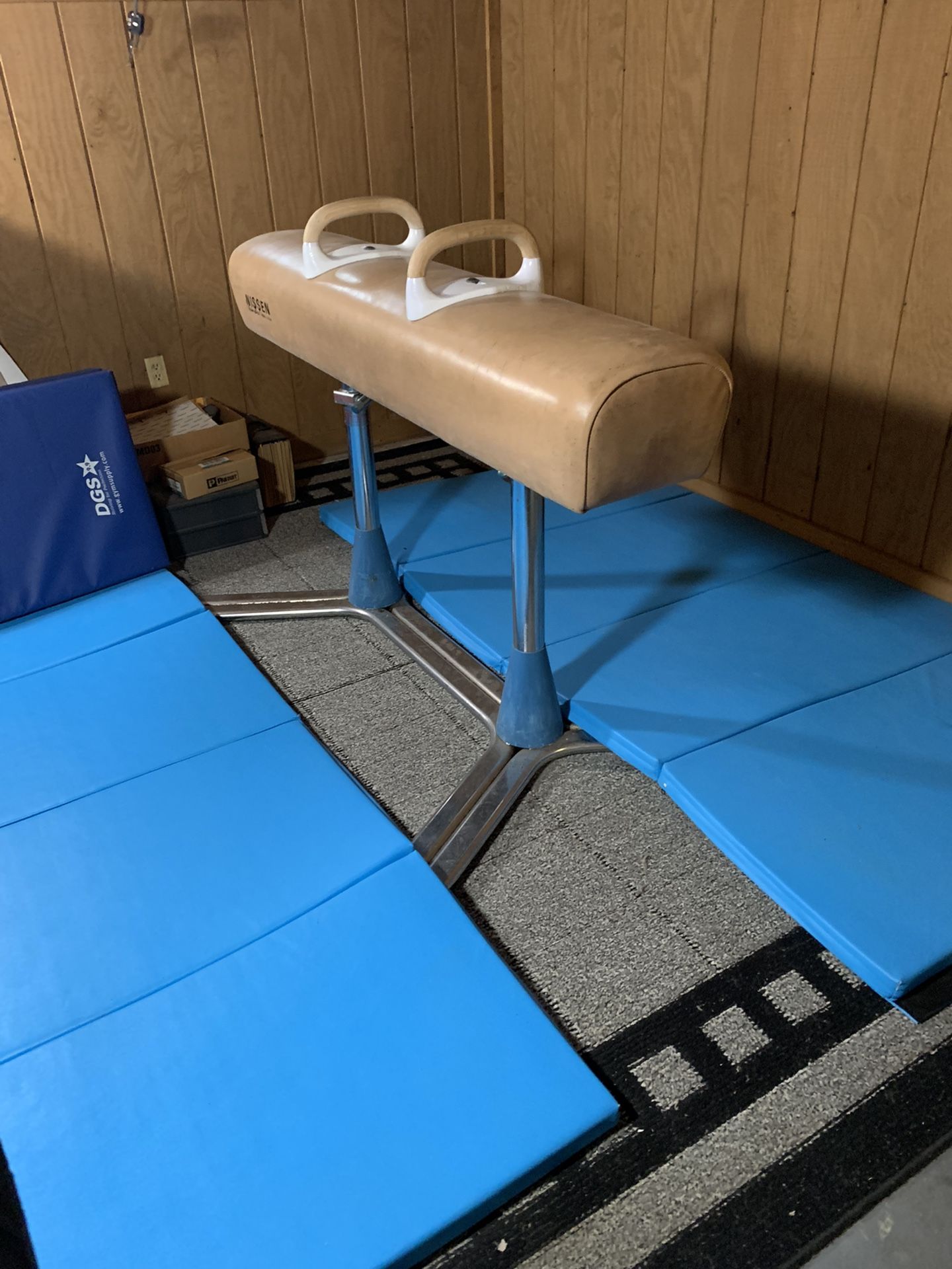 Gymnastics Pommel Horse
