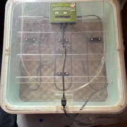 Incubator 
