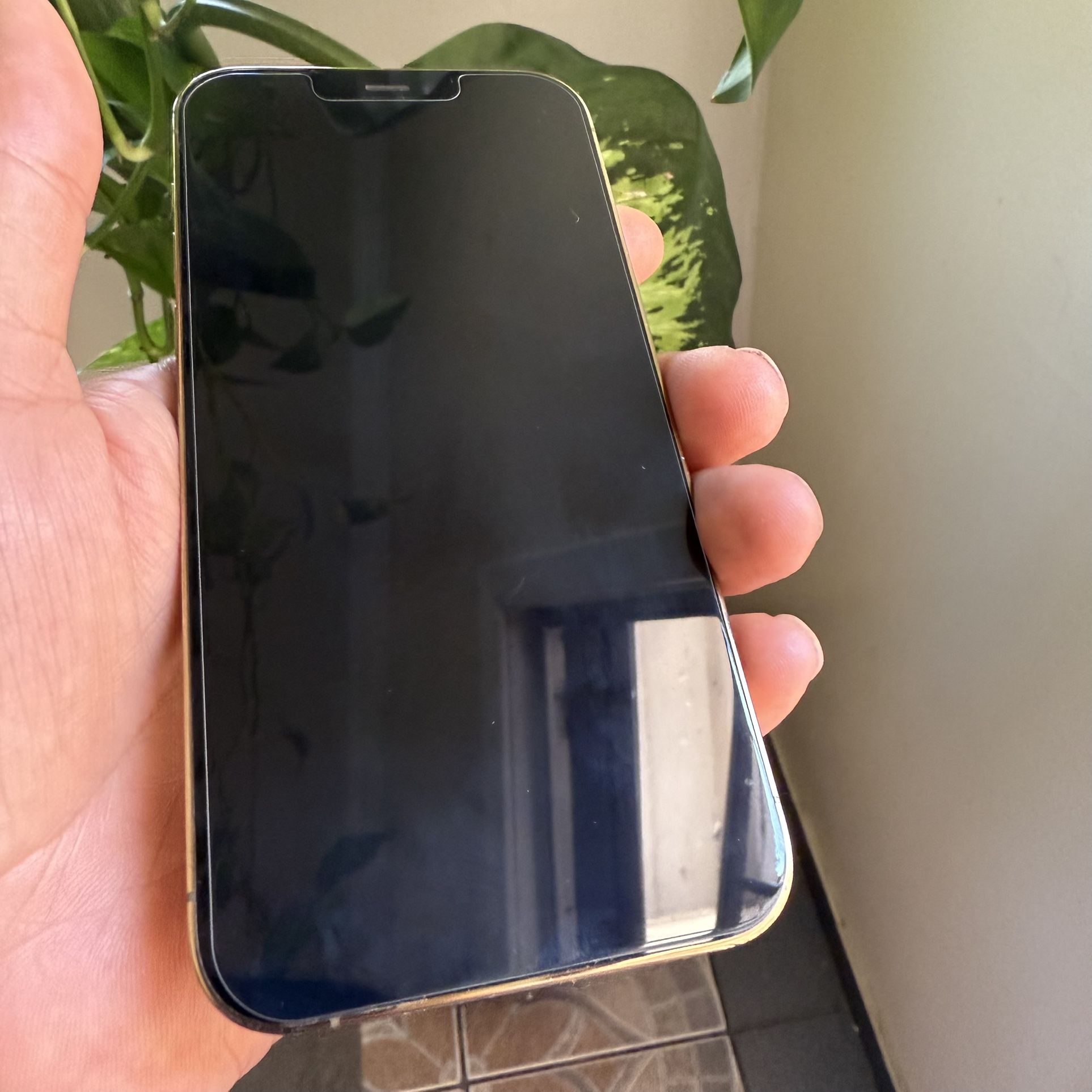 iPhone 12 Pro 126 G