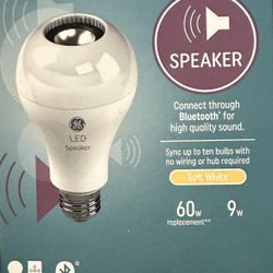 Ge Speaker Bulb