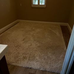 8 X 10 Area Rug +5x8 Match