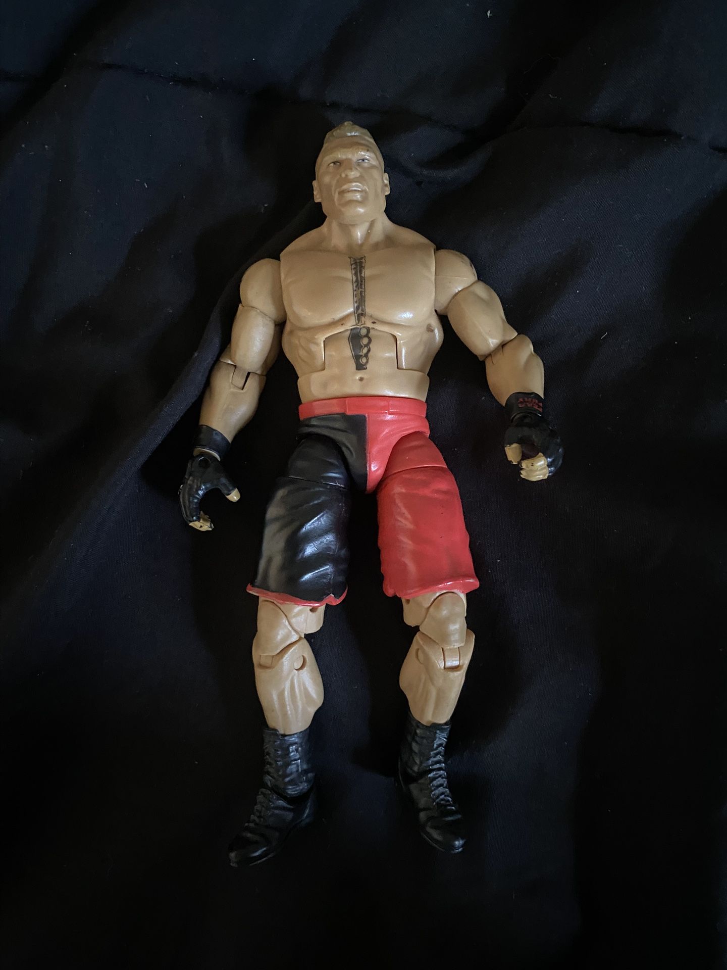 Brock Lesnar UFC/WWE Elite