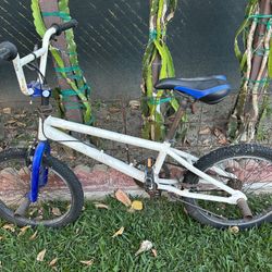 Tony Hawk Small Bike