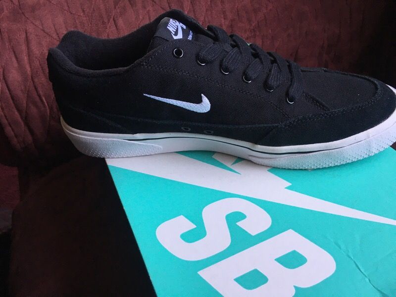 Nike sb zoom GTS