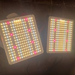 LED Grow Lights 