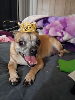 Please vote help my win $10000! Link below...