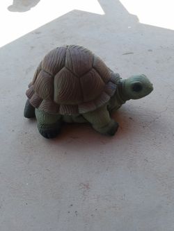 Cement Concrete Lg Turtles an Medium Turtles
