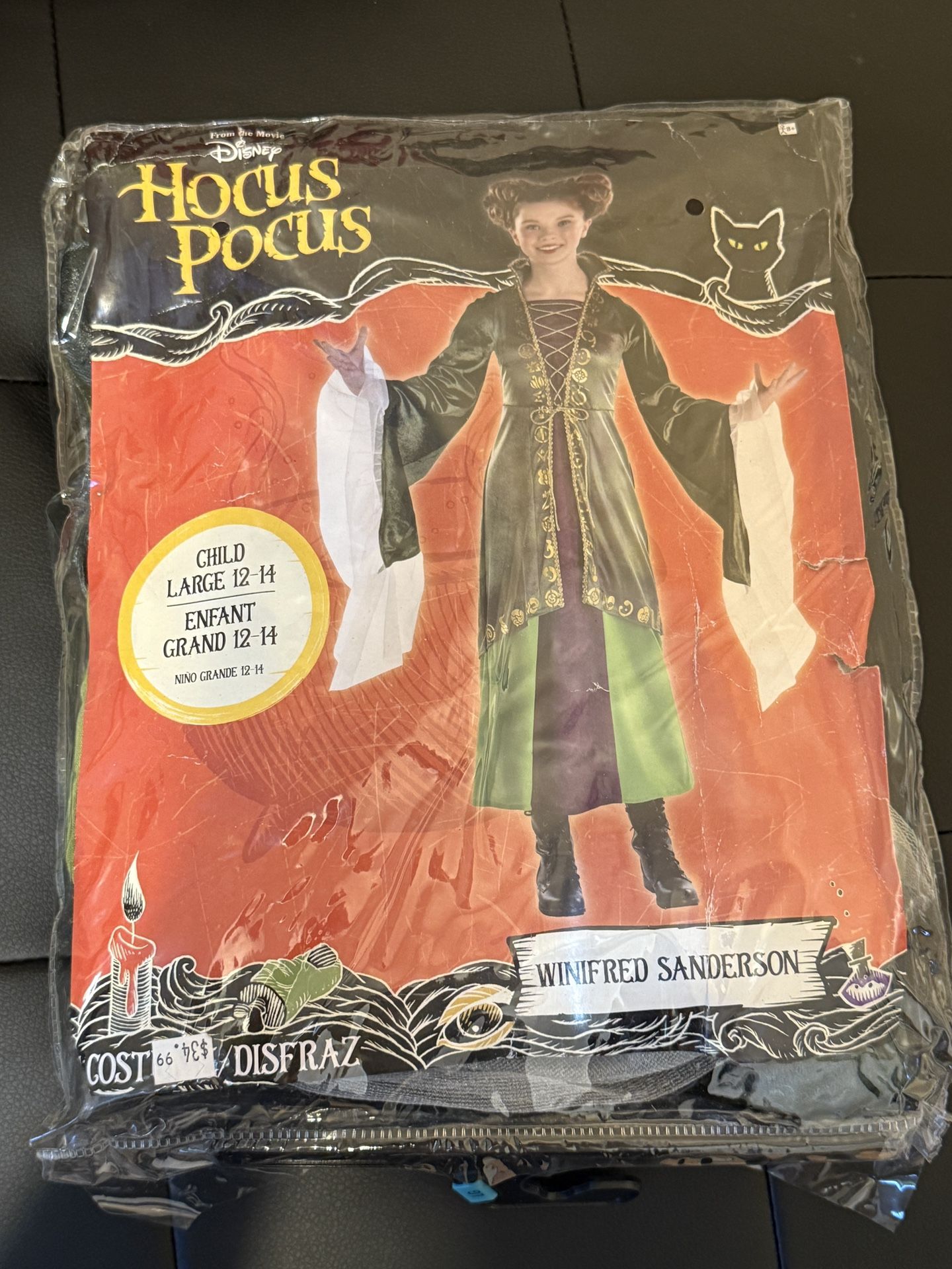 Hocus Pocus Kids Costume