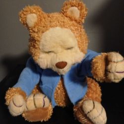 Playskool TJ BERRY TALES Talking Bear