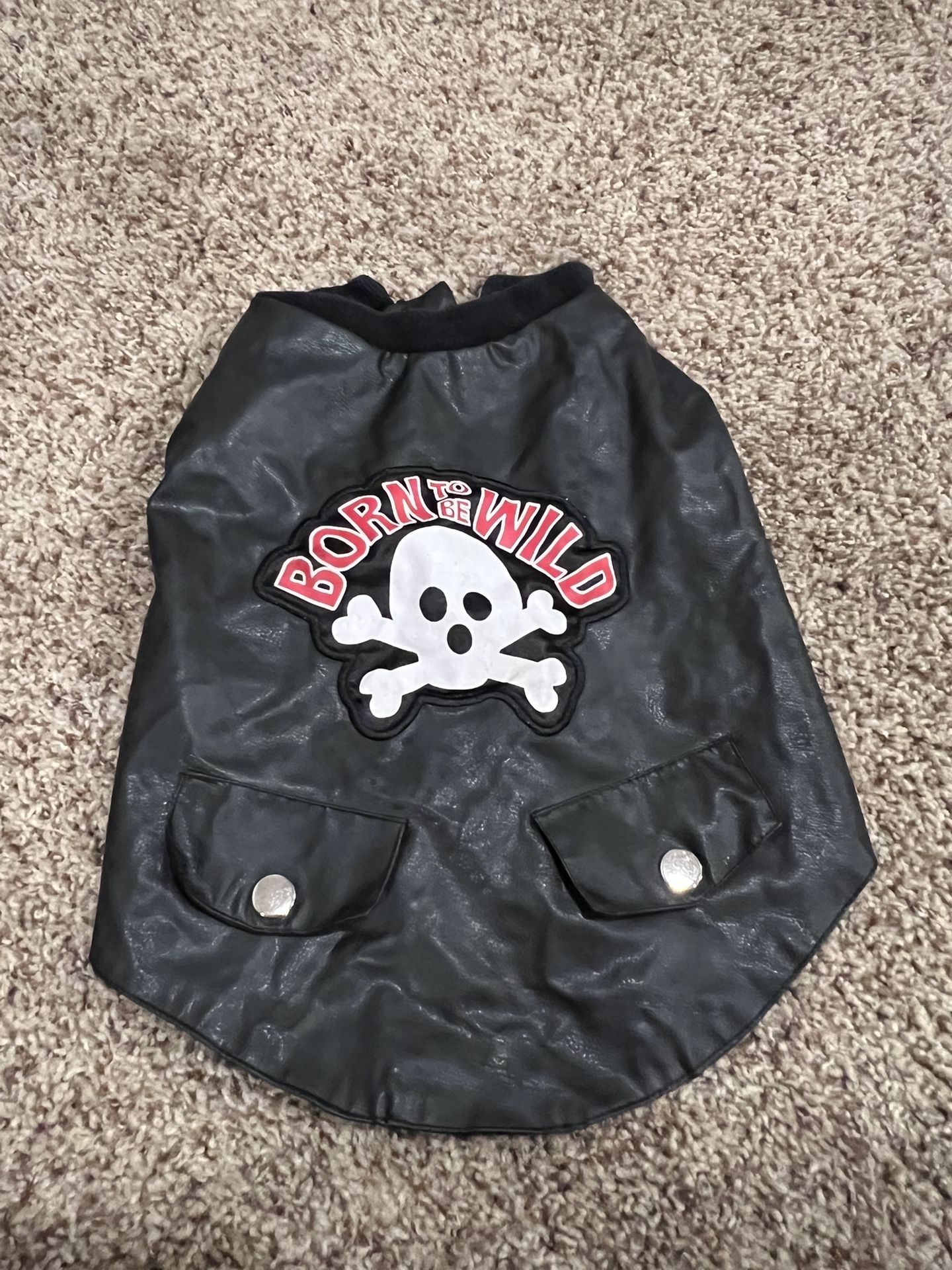 Black dog jacket. Measurements in photos. Size M