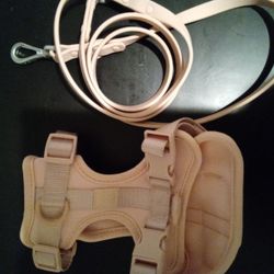 Harness & Leash