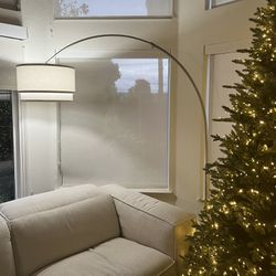 Curved Floor Lamp