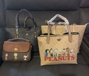 Peanuts Bags