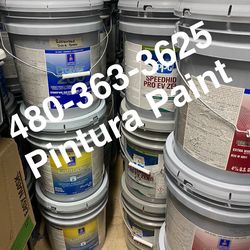 Pintura nueva en venta paint sale