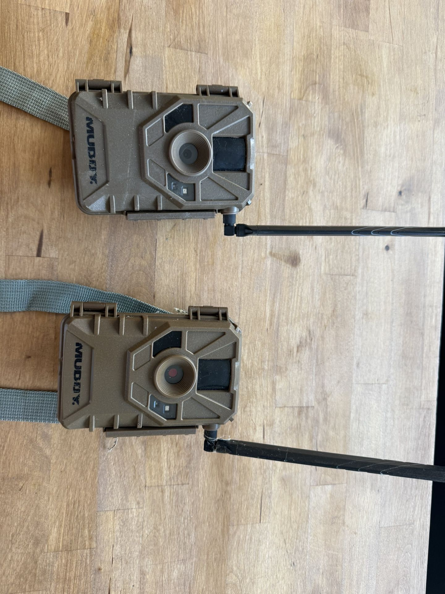 Cellular Game Cameras X2