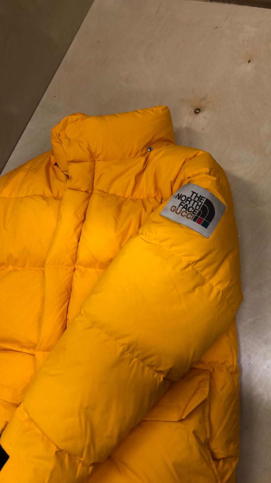 Gucci North Face Collaboration Puffer Jacket.