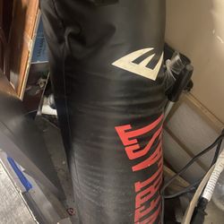 Everlast Punching Bag 