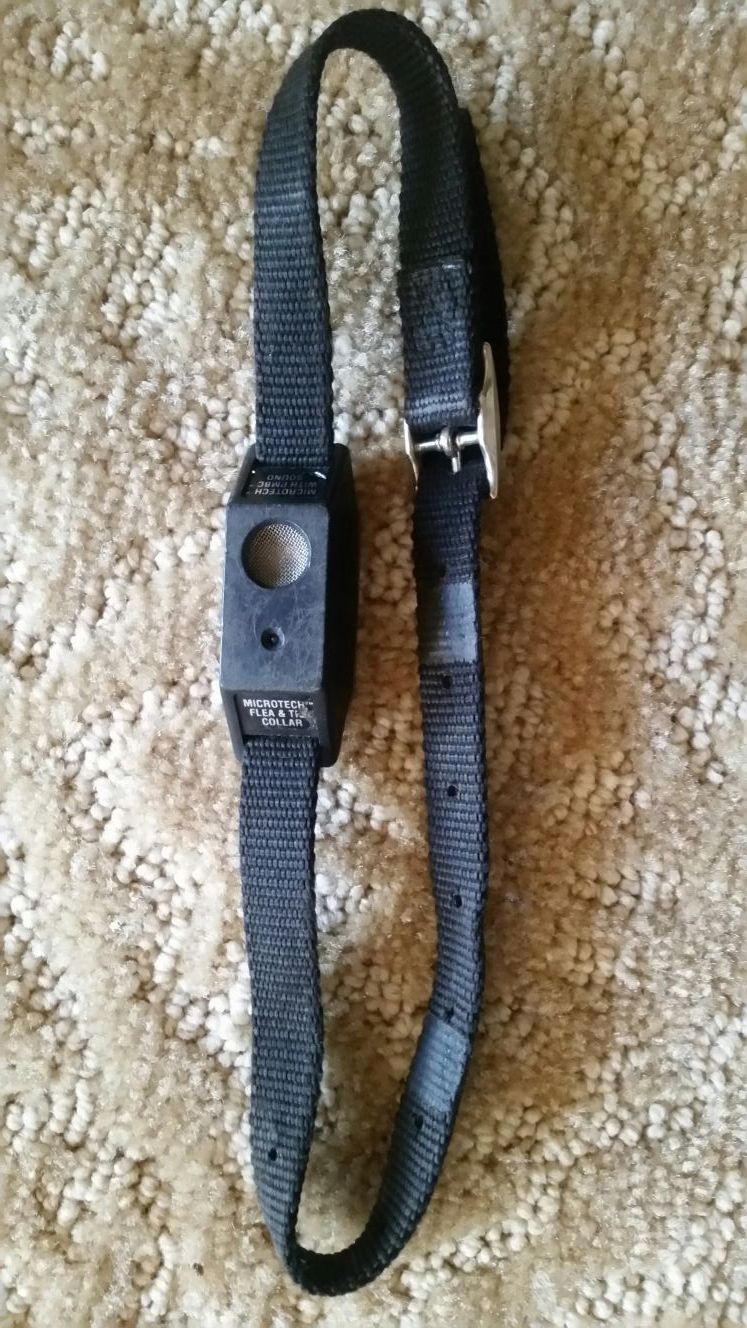 Grey best sale flea collar