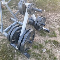 250lbs Olympic Weight With Weight Tree And Barbell