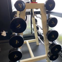 Fixed Barbell Complete Set (W Rack)!